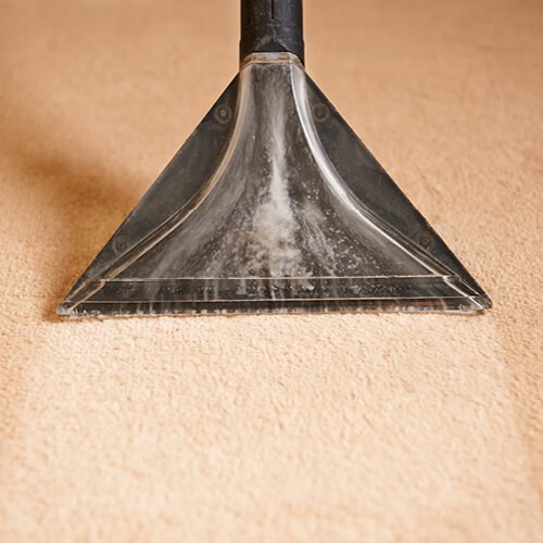 Carpet cleaning | Big Bob's Flooring Outlet Winter Garden