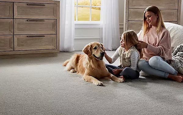 Mohawk Pet Friendly Carpet orlando