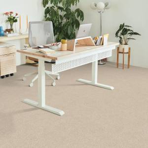 beaulieu canada carpet store oviedo