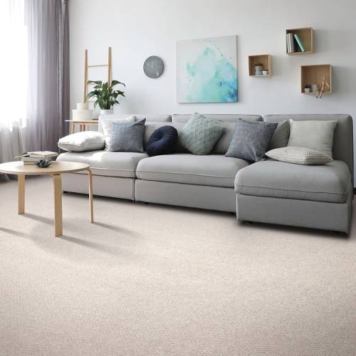 mohawk carpet winter garden